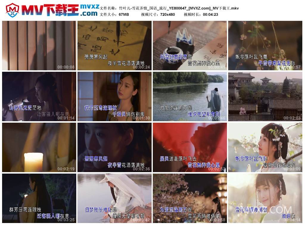 竹叶儿-雪花弄情_国语_流行_YE800647